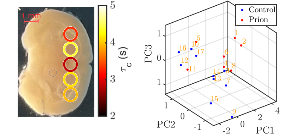 phil_neuro_2.png
